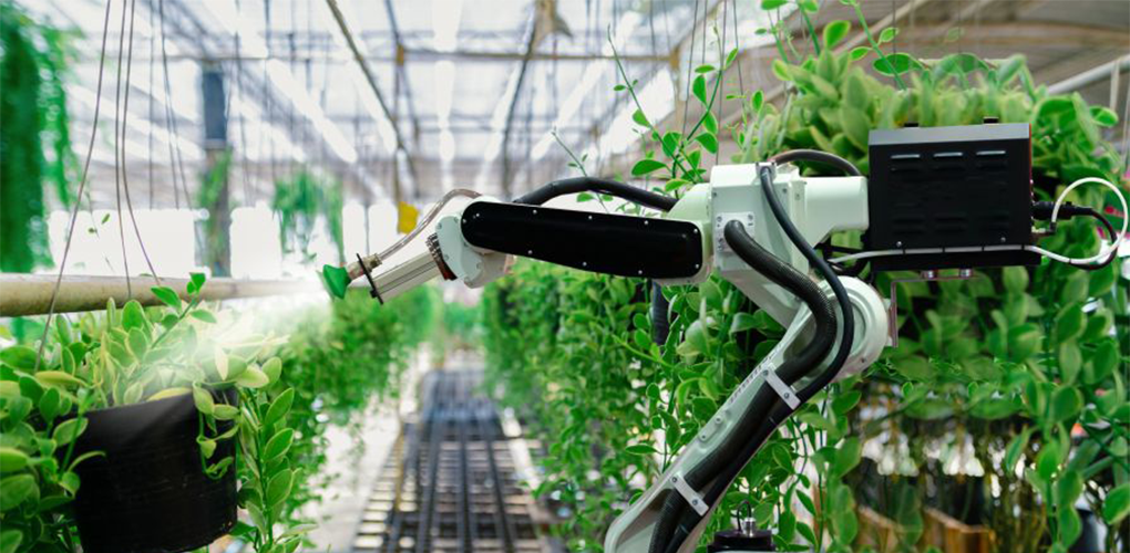 Empowering Smart Agriculture